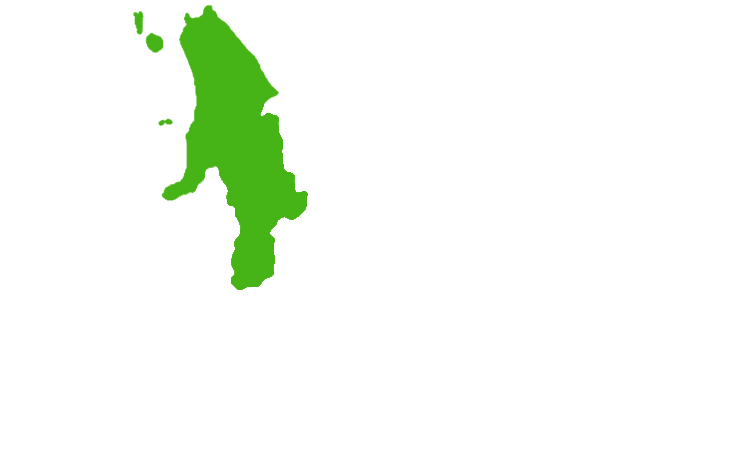 area_img